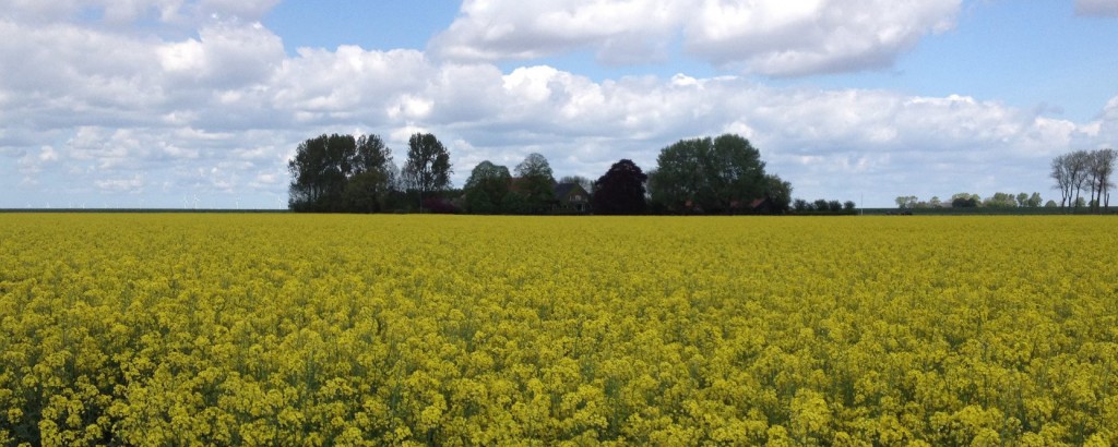 Galerie De Groninger Kroon